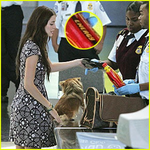 Mischa Barton Gets Detained By Airport Security