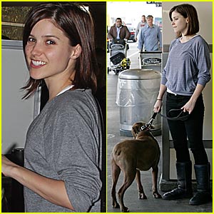 Sophia Bush and Her One-Eyed Pit Bull, Patch