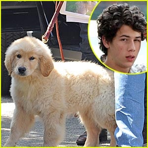 Nick Jonas: Elvis is a Dog!