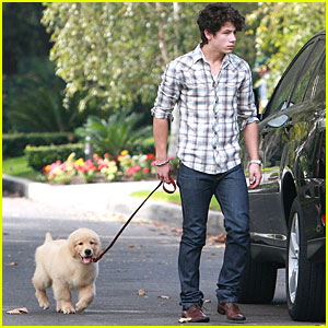 Nick Jonas Has Puppy Love