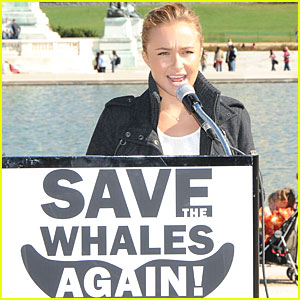 Hayden Panettiere Saves the Whales (Yes, Again)