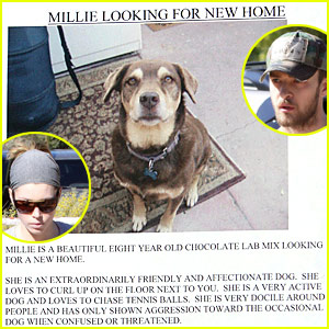 Justin Timberlake Helps Millie Find A Home