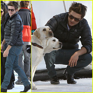 Zac Efron Plays with Pups