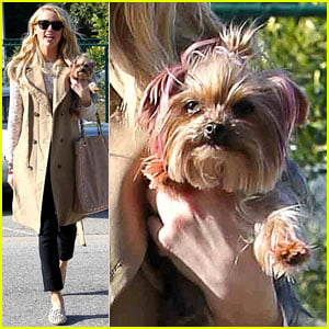 Amber Heard's Dog: Pink Ears!