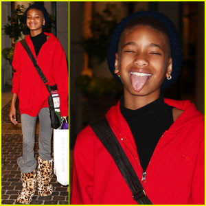 Jay-Z 'Has So Much Love & Respect' for Willow Smith