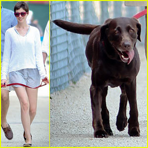 Anne Hathaway: New York City Dog Walker