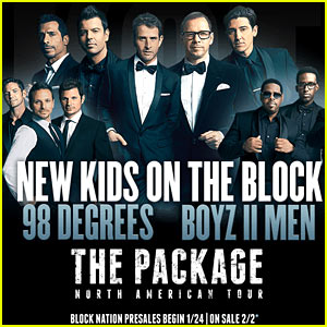 New Kids on the Block Just Jared: Celebrity Gossip and Breaking  Entertainment News, Page 4