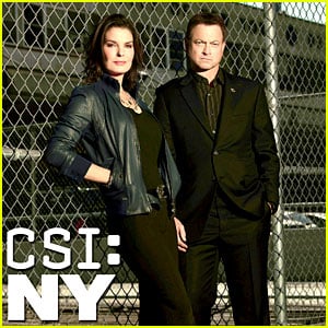 CBS Cancels 'CSI: NY' After 9 Seasons, 'Vegas' Ending Too