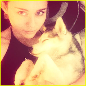 Miley Cyrus Is Heart Broken Over Precious Pet Pooch Floyd's Death