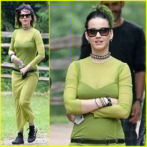 Katy Perry Goes Green & Sheer For Black Creek Pioneer Village Visit ...