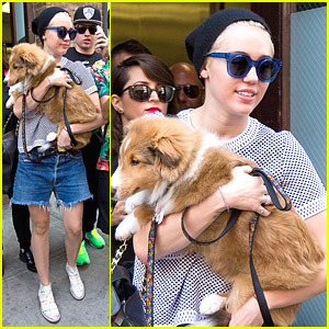 Miley Cyrus & Emu Leave Their New York Hotel & Run Into A Ton of Fans