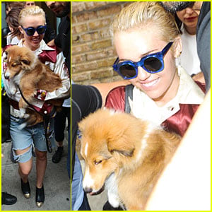 Miley Cyrus Smiles Wide With Puppy Emu By Her Side