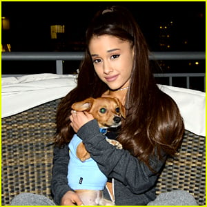 Ariana Grande Is Doing Amazing Things for NYC Rescue Dogs!