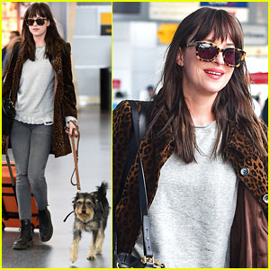 Dakota Johnson Travels Solo with Her Pet Pooch By Her Side