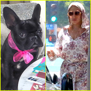 Lady Gaga Launches New Product Line - For Pets!