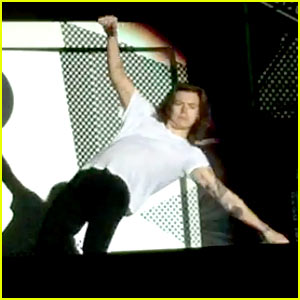 Harry Styles Takes an Epic Fall During One Direction Concert!