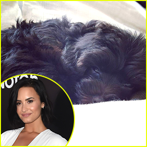 Demi Lovato Gets New Puppy Just A Month After Buddy's Passing