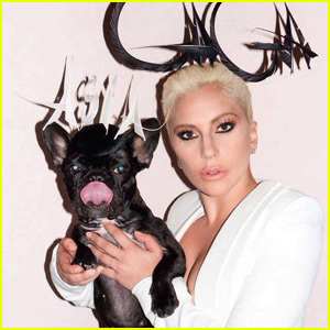 Lady Gaga & Her Pup Asia Rock Matching Hats in 'V Mag'