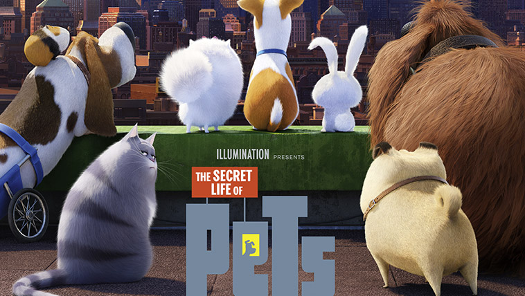 ‘Secret Life of Pets’ Cast – Meet the Voices of the Characters