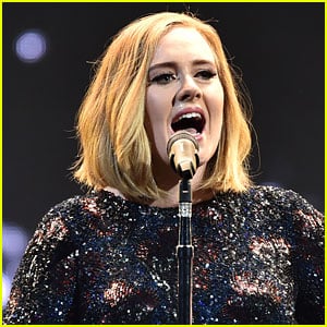 Adele Announces Plans for Another Child After Wrapping Tour!