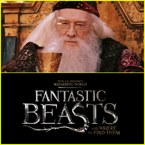 Dumbledore Confirmed to Appear in 'Fantastic Beasts' Films!
