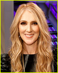 Could Celine Dion Become a Full Time Coach on 'The Voice'?