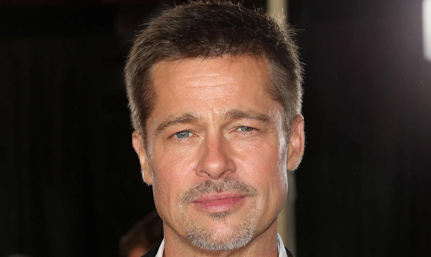 Brad Pitt Picks Up Sculpting as His New Hobby! Brad Pitt Celebrity