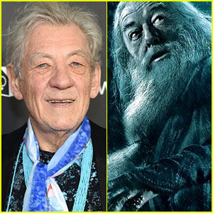 Ian McKellen Reveals Why He Turned Down Dumbledore Role in 'Harry Potter' Films