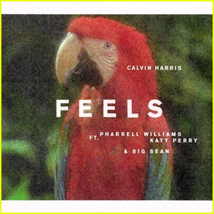 Calvin Harris ft. Katy Perry, Pharrell, & Big Sean: 'Feels' Stream, Lyrics & Download - Listen Now!