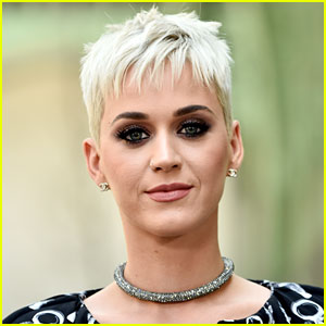 Katy Perry Reveals Her Choices for 'American Idol' Co-Judges!