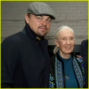 Leonardo DiCaprio Attends 'Jane' Screening With Dr. Jane Goodall