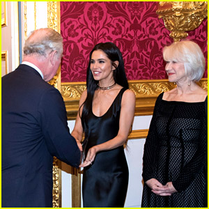 Cheryl Cole & Helen Mirren Meet With Prince Charles at the Prince's Trust Dinner in London!