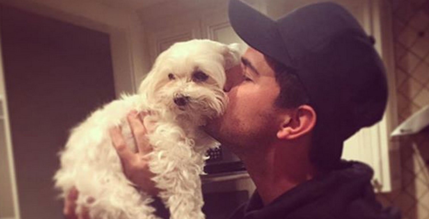 Taylor Lautner Mourns Loss of Beloved Dog Roxy ‘You Have Brought So(02)