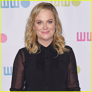Amy Poehler Will Direct & Star in Netflix Comedy 'Wine Country' Alongside 'SNL' Alums!