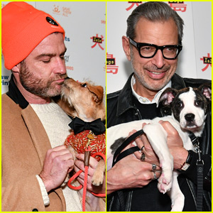 Liev Schreiber & Jeff Goldblum Cuddle Their Pups at 'Isle of Dogs' Screening!