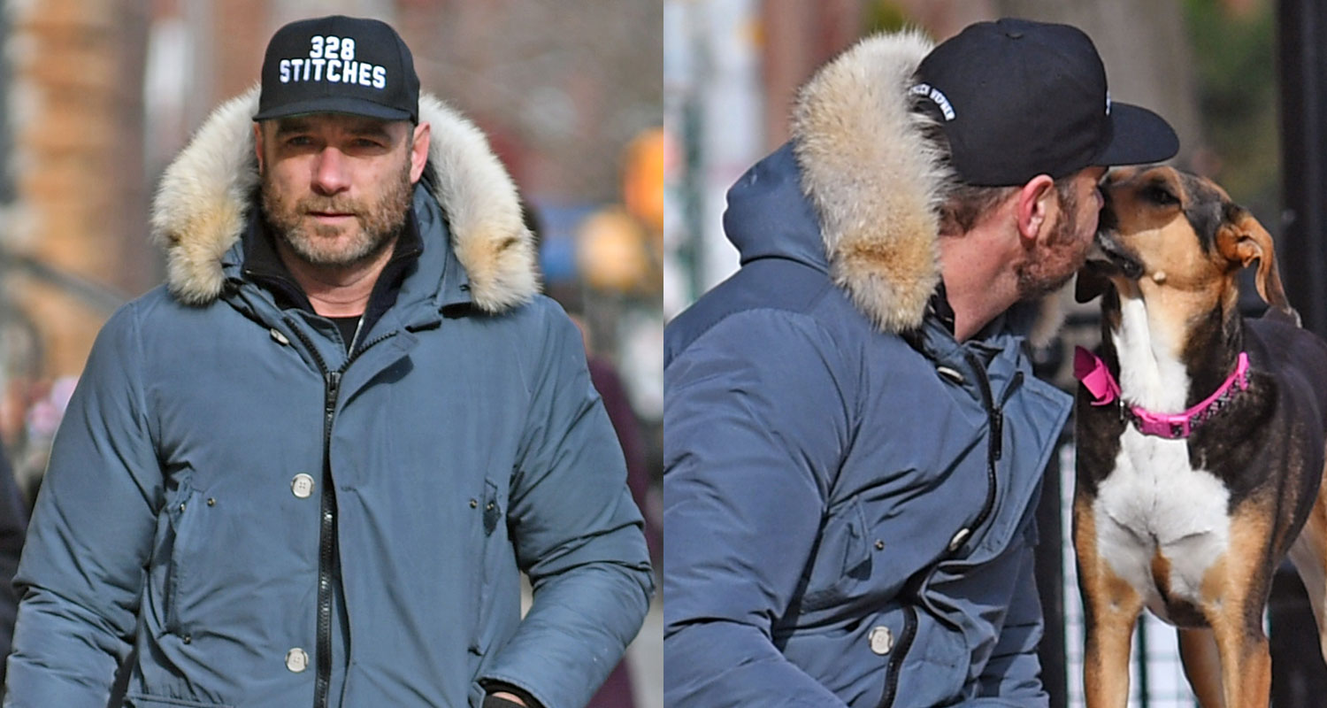 Liev Schreiber Shows Some Puppy Love at the Dog Park! Celebrity Pets