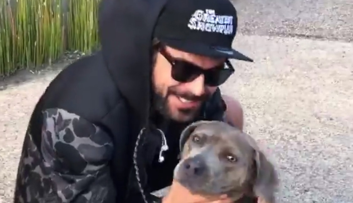 Zac Efron Introduces Fans to His Rescue Pup Maca! Celebrity Pets, Zac