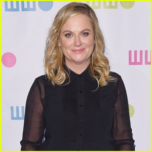 Amy Poehler's 'I Feel Bad' Picked Up By NBC!