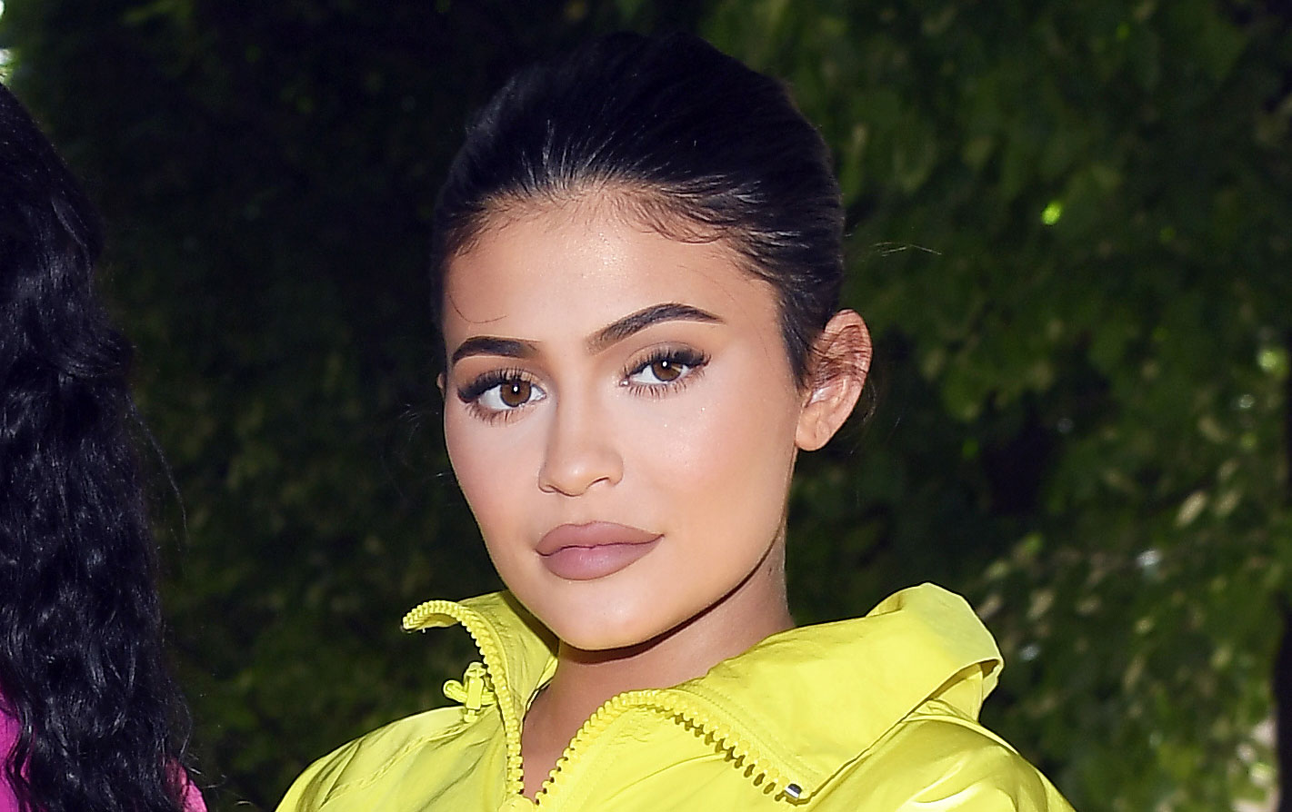 Kylie Jenner Builds a Luxurious Dog House for Her Two Dogs Celebrity(01)