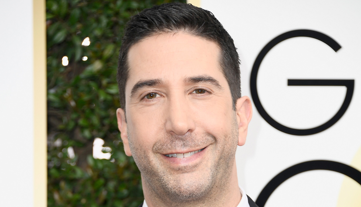 David Schwimmer Lookalike Caught & Arrested, Police Thank the ‘Friends