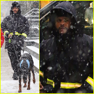The Weeknd Braves NYC Blizzard to Take His Dog for a Walk!