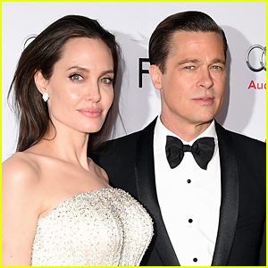 Brad Pitt & Angelina Jolie Reach Custody Agreement, Will Avoid Court Date
