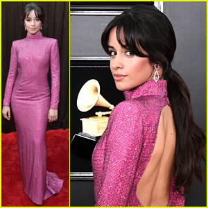 Camila Cabello Sparkles In Pink For Grammys 2019