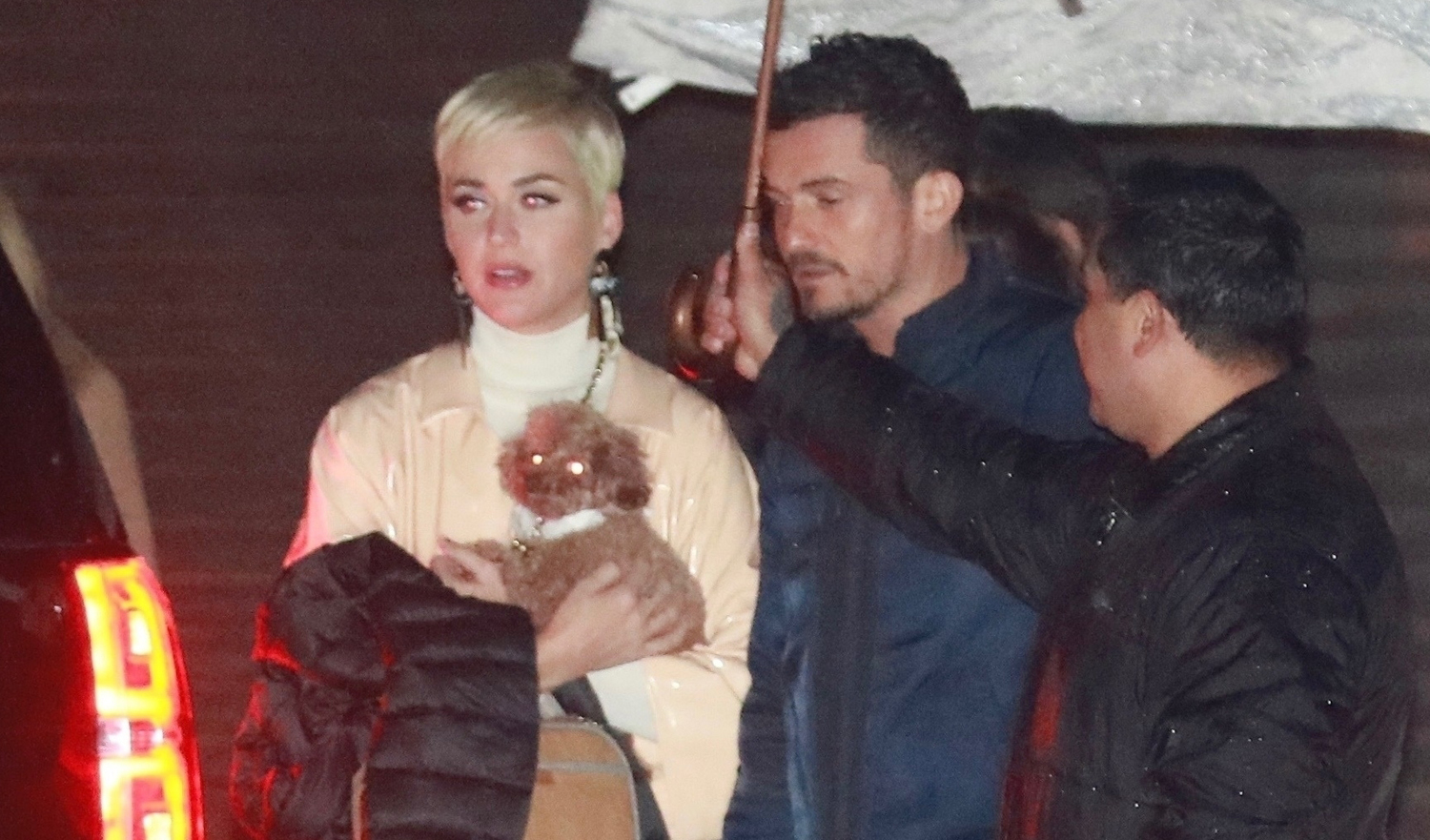 Katy Perry & Orlando Bloom’s Dogs Join Them for Date Night! Celebrity