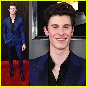 Shawn Mendes Looks Sharp in a Blue Suit at Grammys 2019