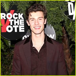 Shawn Mendes Rocks Maroon Suit at Island Records' Pre-Grammys Event
