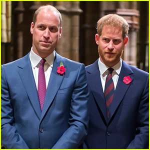 Is There a Royal Feud Between Prince William & Prince Harry?