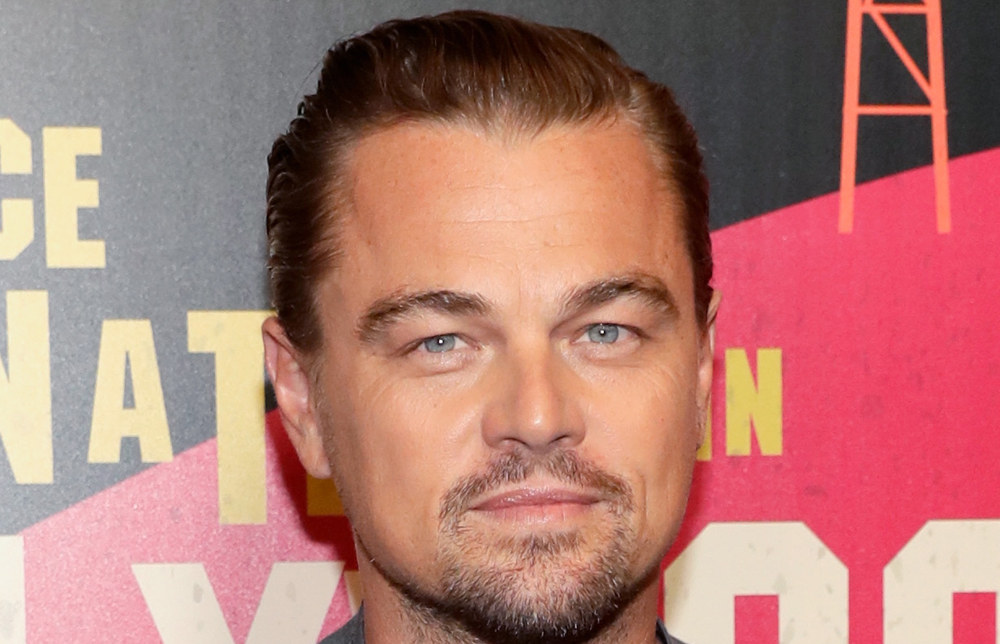 Leonardo DiCaprio Is at Coachella – See a Video! | Leonardo DiCaprio