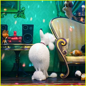 'The Secret Life of Pets 2' Releases Trailer - Watch Now!