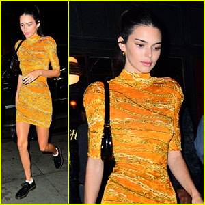 Kendall Jenner Pairs Affordable Shoes with Her Designer Dress